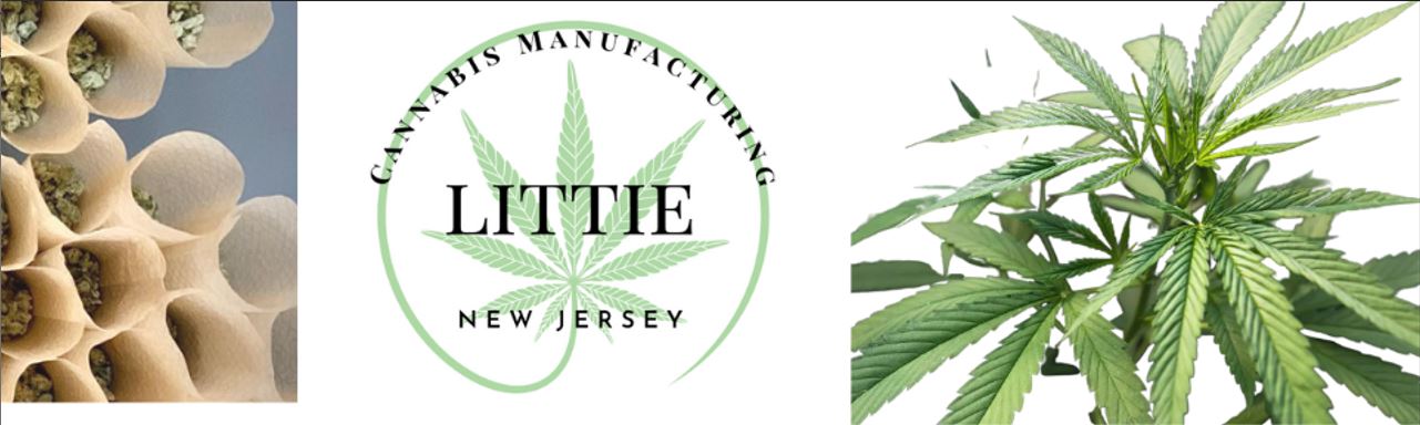 LITTIE LLC